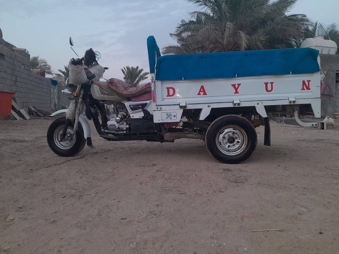 ستوته • ٢٠٢٢ • طلعه ٢٠٢٣