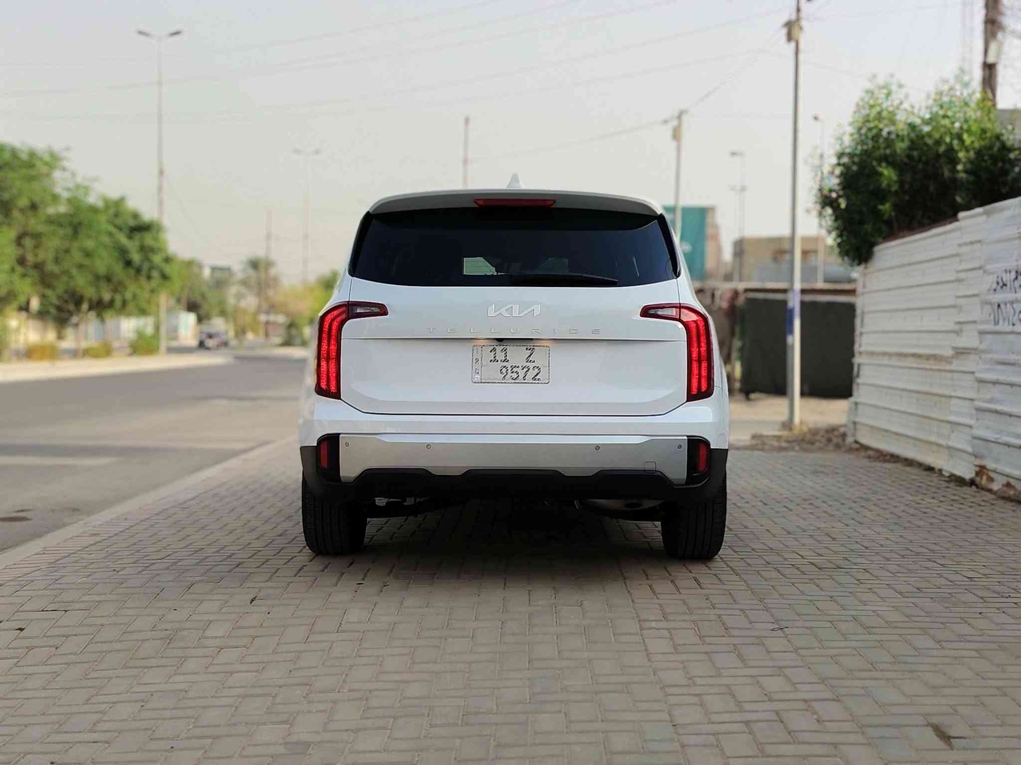 تيلورايد • ٢٠٢٤ • وارد امريكي