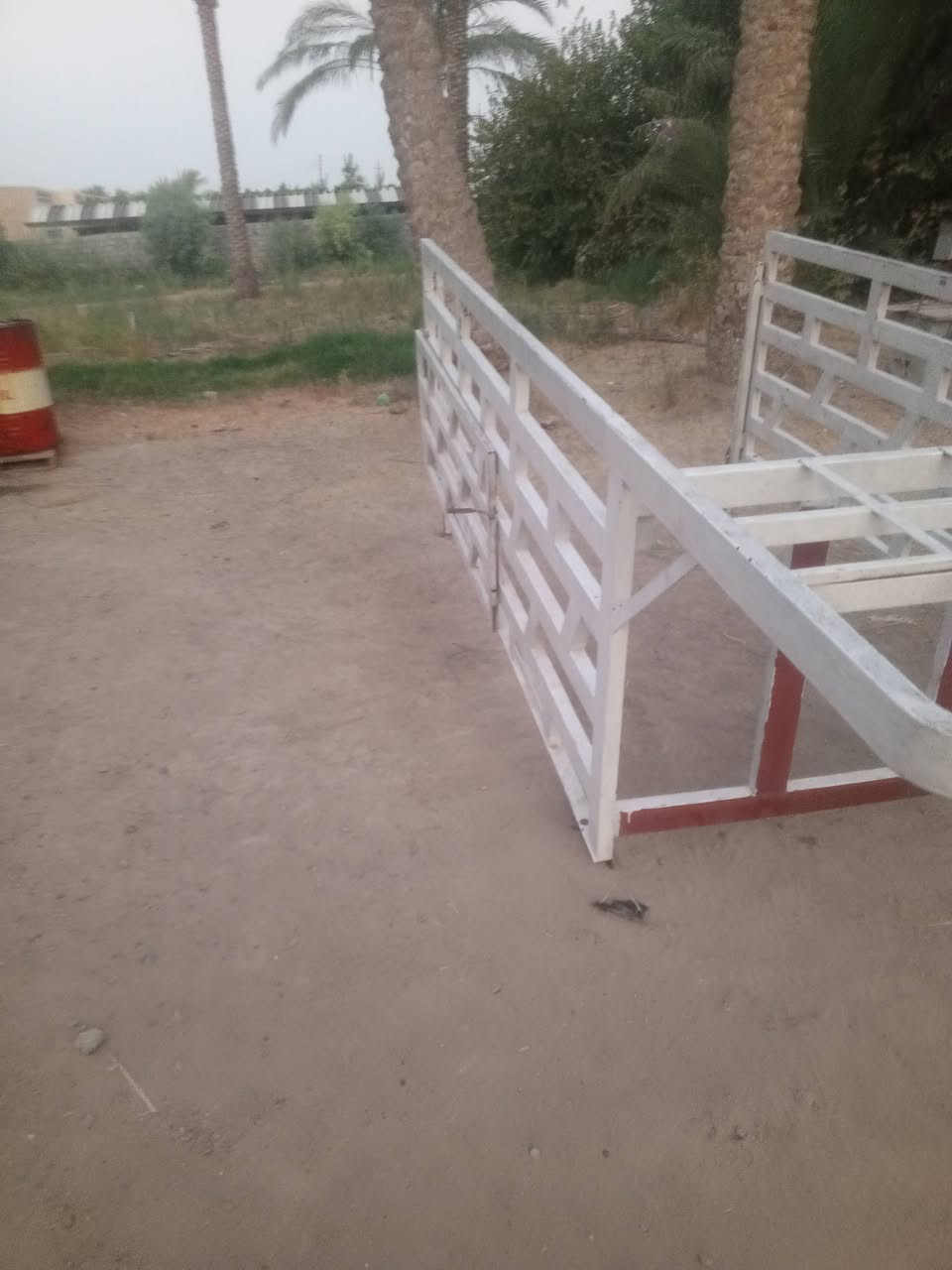 محجل للبيع السعر 400
***********بي واتساب
