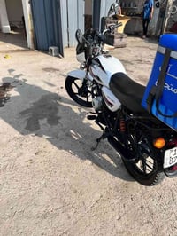 بوكسر كلاسك • مكفول • موديل 23