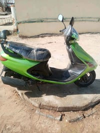 فراشة • سعر خاص • واتساب