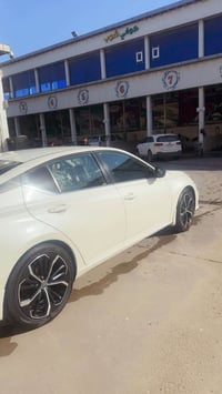 التيما • ٢٠٢٠ • رقم البصرة