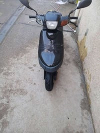 بطة • ٦٠ • كفالة