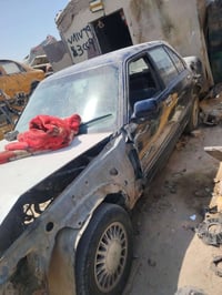 تفصيخ • أرنب • البصره الزبير