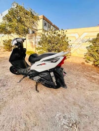 ماكس ثعلب • شرط نشاط • معدل فول