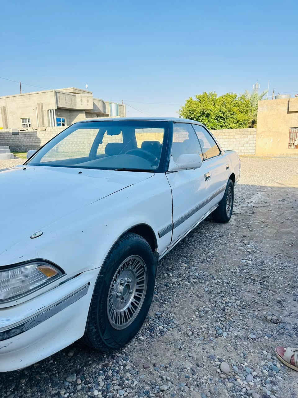 مسطره • كير شرط • تواير جداد