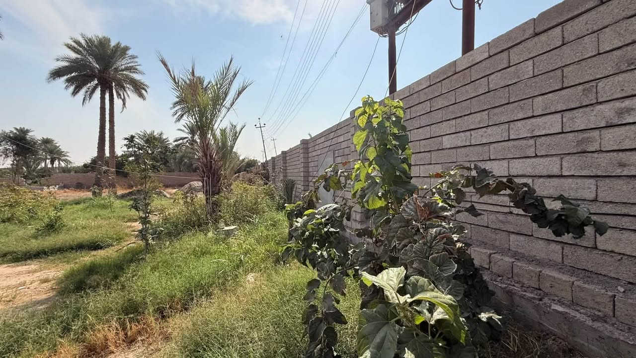 قضاء العلم • دونم • طابو زراعي