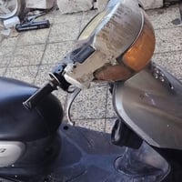 مغولي • فحل • سلف