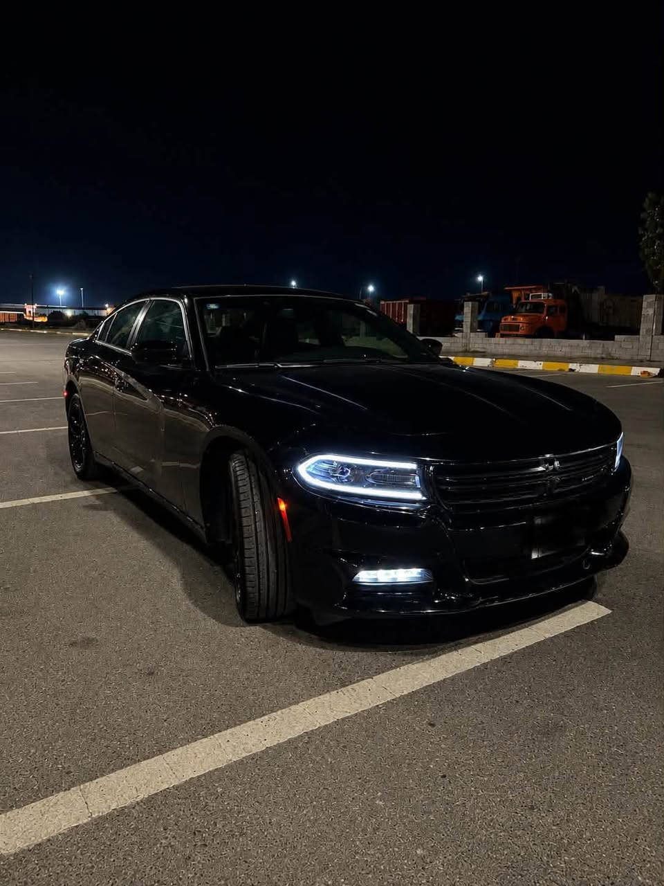 السلام عليكم
جارجر 2015 sxt

كلين تايتل حتى الدعاميات بدون قطرة صبغ

وارد كندي 

ماشيه 69 حقيقي

تو ويل 

رقم بغداد بأسمي تحويل مباشر

السياره نظيفه كلش 

تخم تاير وباتري جديد

للاستفسار ***********
