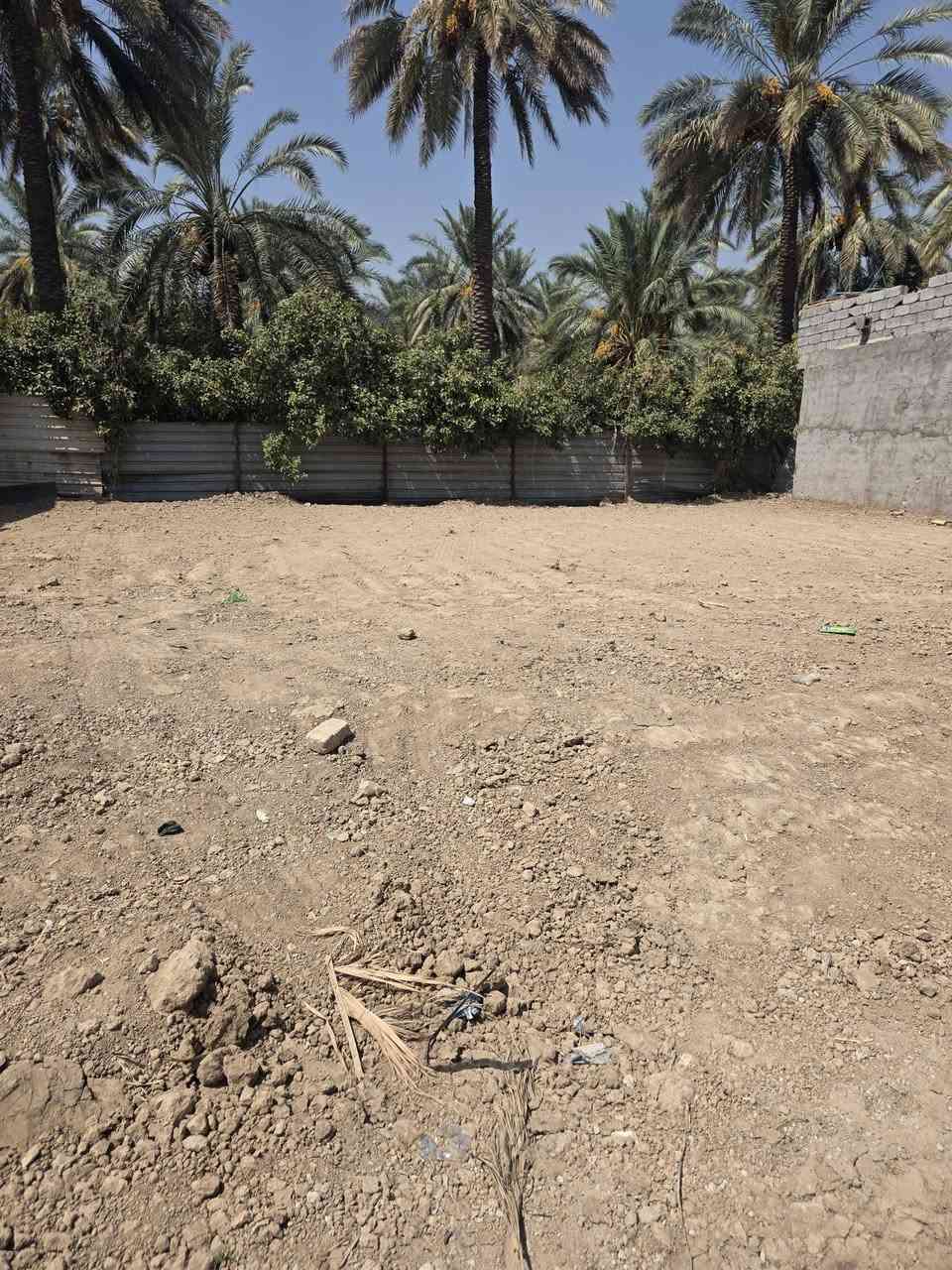 أرض سكنية • ٣٠٠م • الشيخ حمد