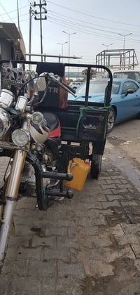 ستوته • أصولي • موديل ٢٠