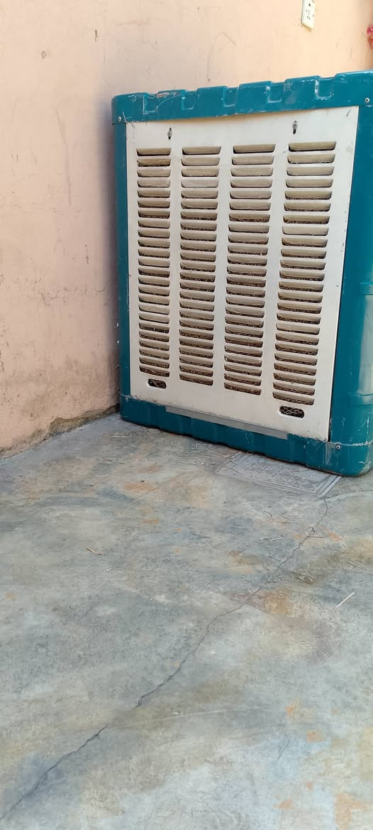 مبرده شغال شرط نضافه فول
سعرها 40 بيها مجال

***********
