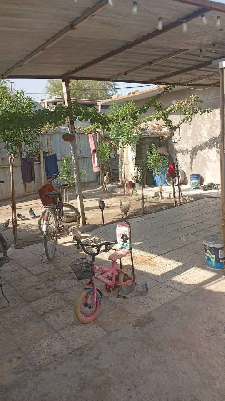 بيت تجاوز للبيع مساحه 250غرفتين وصاله ومطبخ وحمام السقف سندوتج وكراج حديقه العنوان زعفرانيه سعيده قرب حسينية سيد الشهداء منطقه المقلع 16 وهذه رقمي ***********
