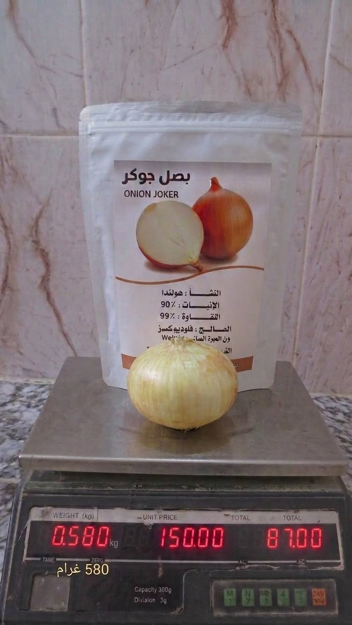 السلام عليكم ع بركه الله وصول بذور بصل جوكر إلى مكتب باسم الاابرهيمي العنوان الحيدرية الحولي الاتصال*********** يمتاز بالخشونه 
ضمان وامان وجوده عاليه
