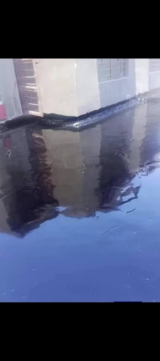 السلام عليكم جير لباد فلانكوت مستعدين لتجير جميع البيوت و الاساسات والمدارس ودوائر الدوله كافأ وضمان بالشغل تصال ع رقم ***********
