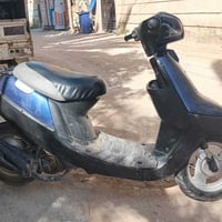 منغولي • شغاله