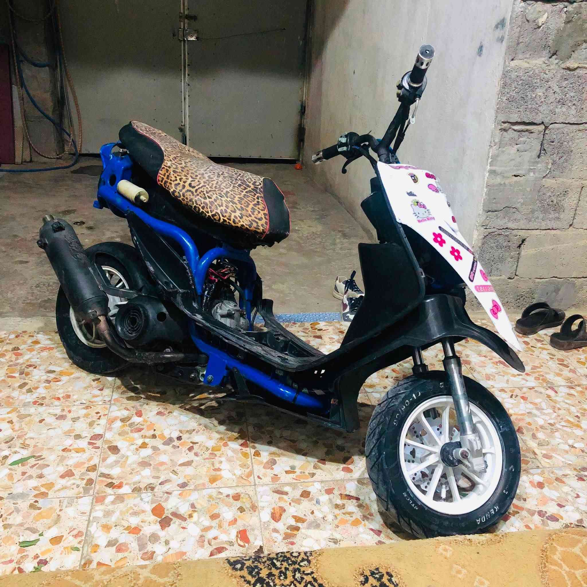 ٤٩ • نضيفه • دواخل جداد