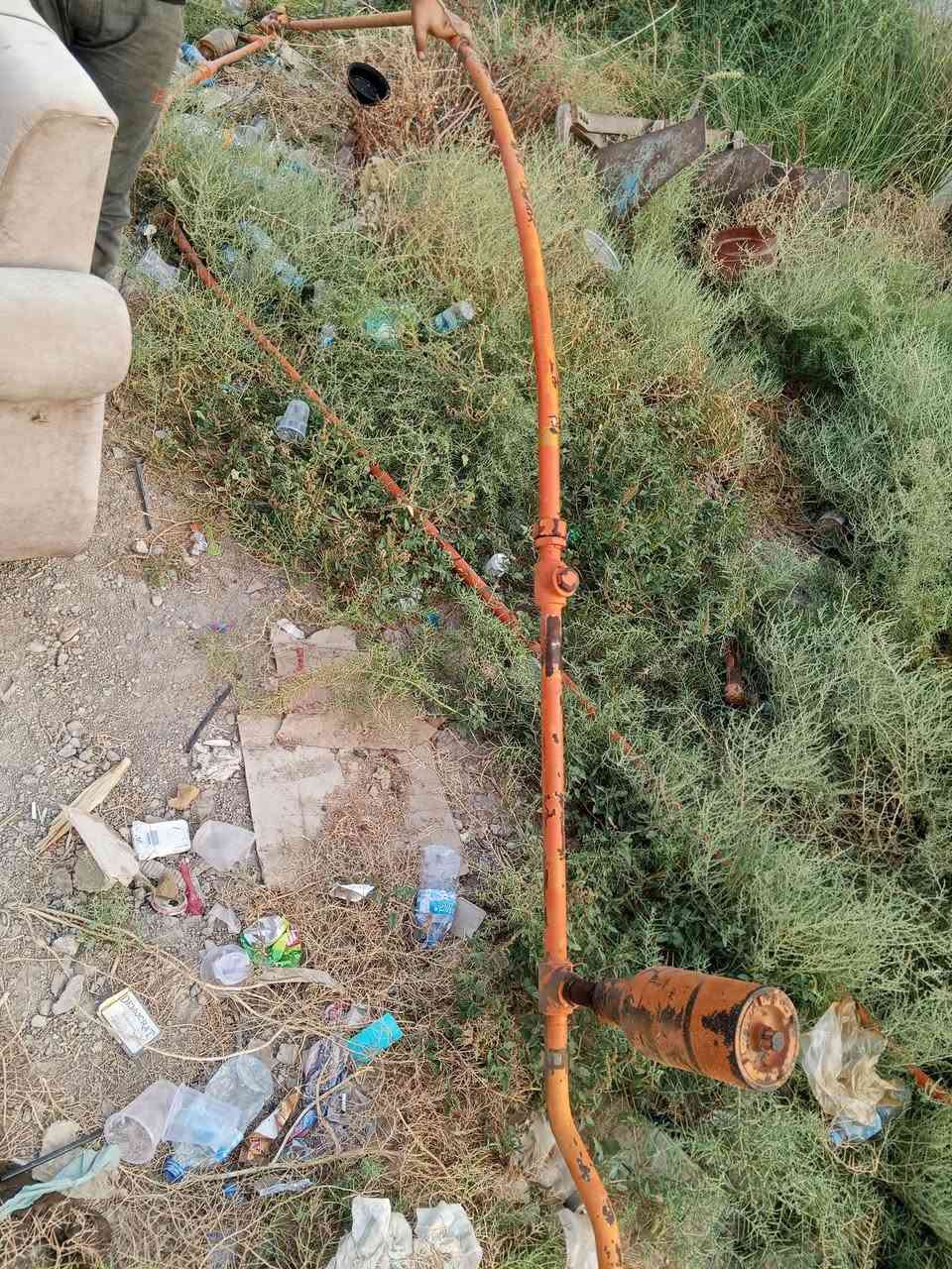 نقار بلادية • زيت كاملة • ديالى