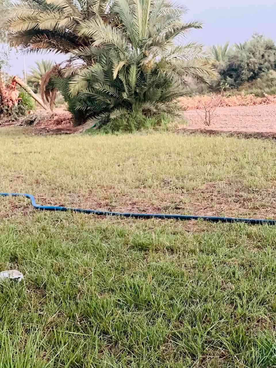 سلام عليكم ورحمة ارض زراعية سند 25 للبيع المساحه دونم ونص ع طريق السنيه خلف معمل الكاشي سيد ابراهيم متوفر كافه الخدمات تبليط بالباب مالتهه يوجد مدرسه ومركز صحي يشتغلون مي اساله مي سقي متوفر للاستفسار الاتصال ***********
