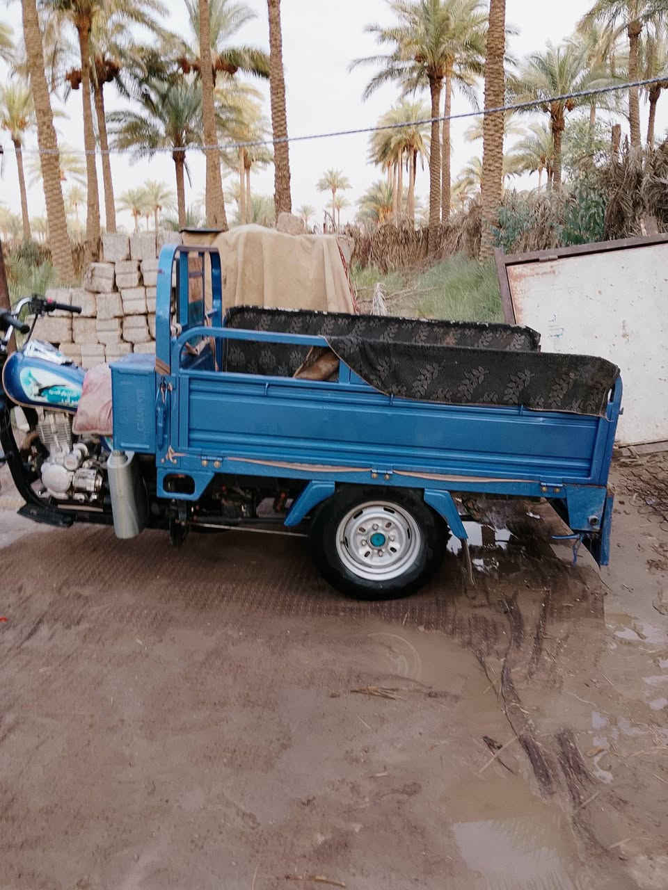 السلام عليكم ورحمه الله
ستوته للبيع سعرها مليونين واربعميه وبيها مجال قليل 
العنوان الدوانيه الدغاره 
الرقم:***********
