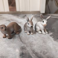 ٦٢ قطعه • ٦ شلايش • ويه التوصيل