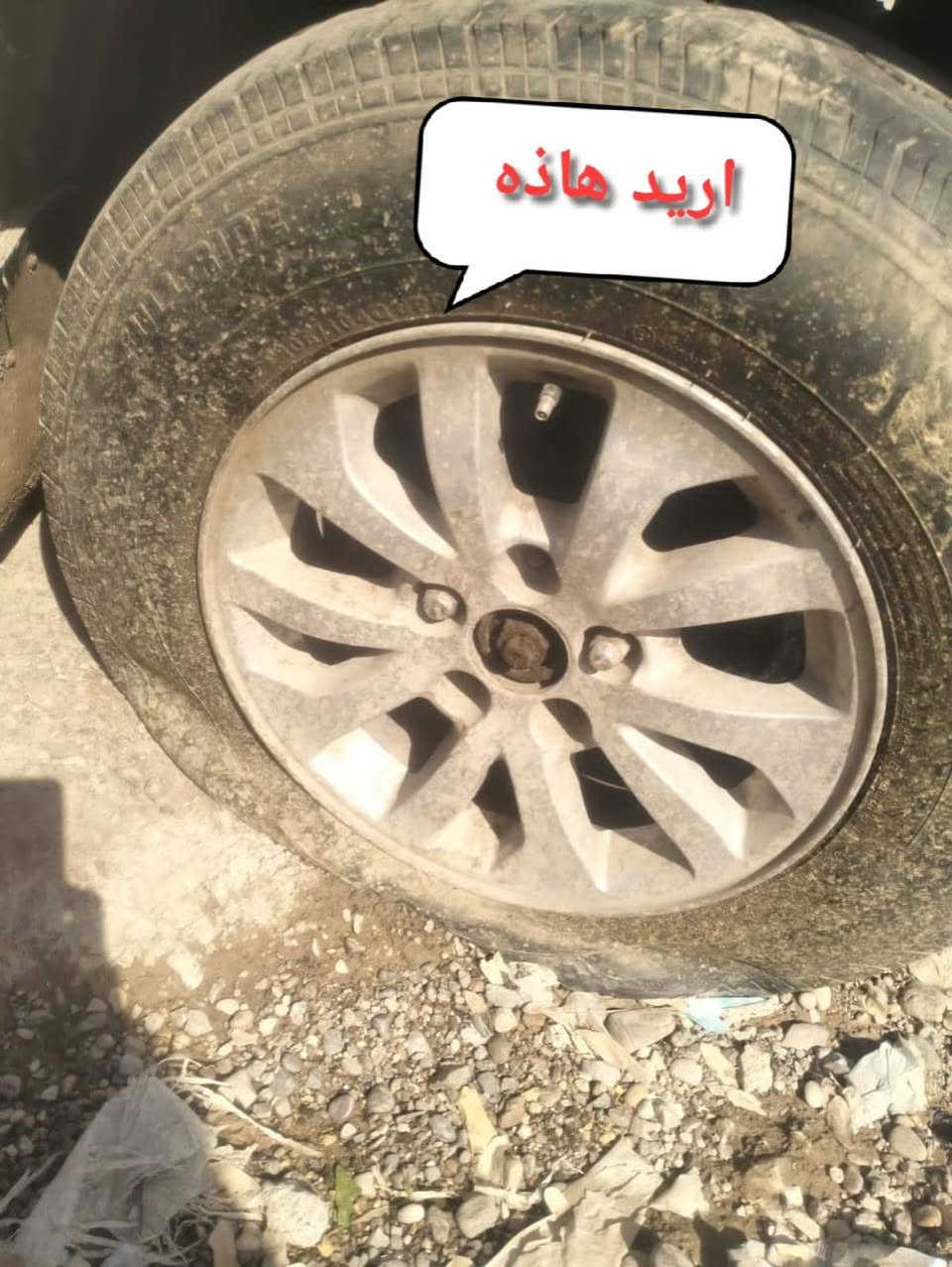 رايد ويل فتون الوان مكاني ناصريه ***********
