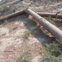 ماطور ابو ٥٠ • خنزيره ١٠×١٢ • الديوانية