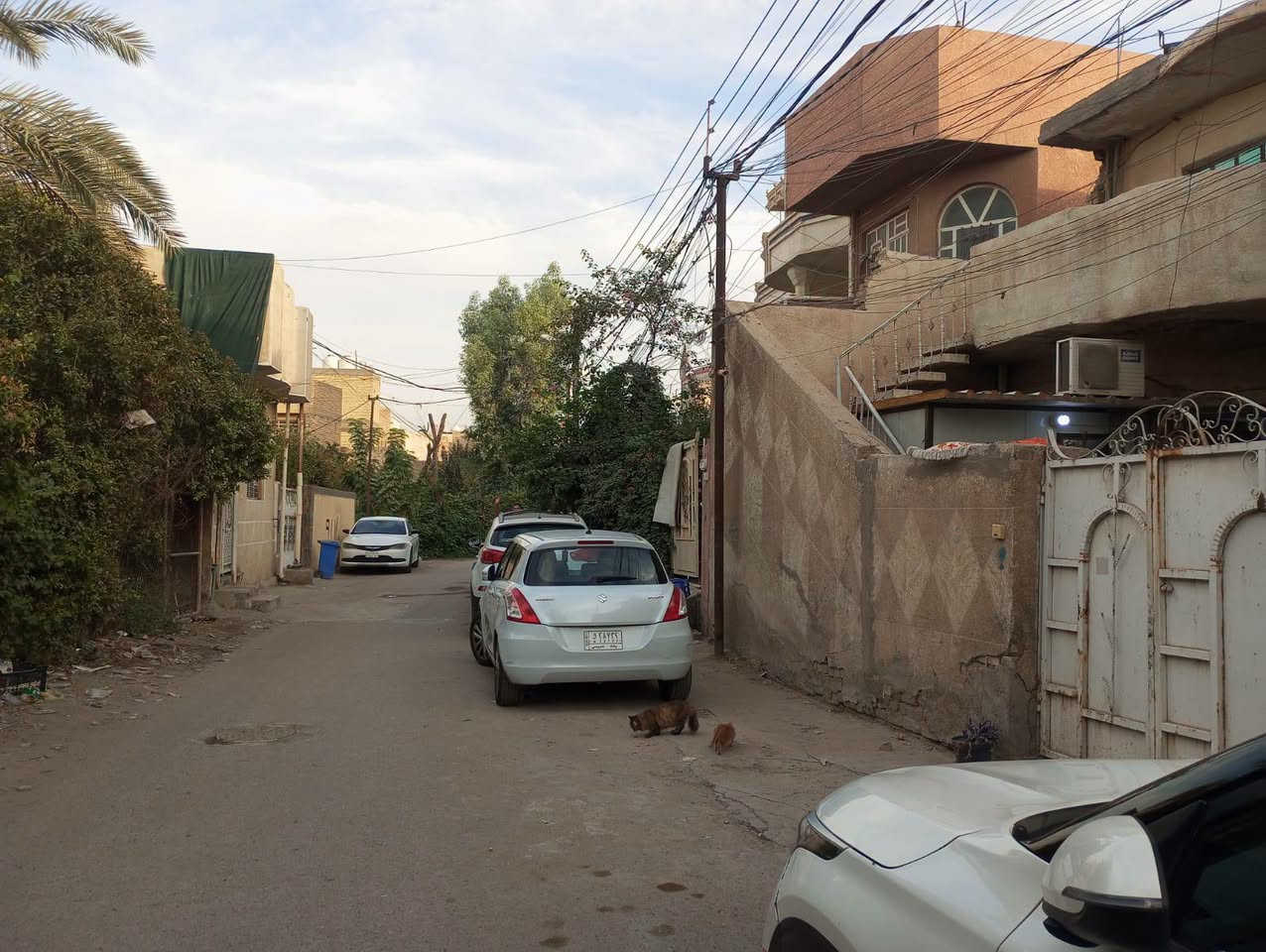سند ٢٥ • ملك صرف • ٢٠٠م