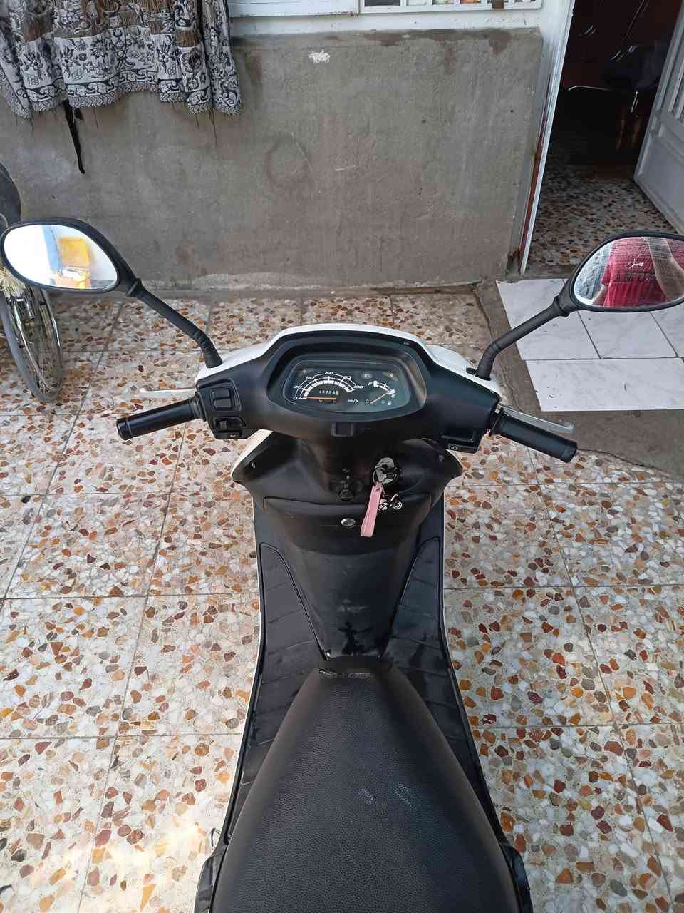 سبيسي • رمبة • للفحص