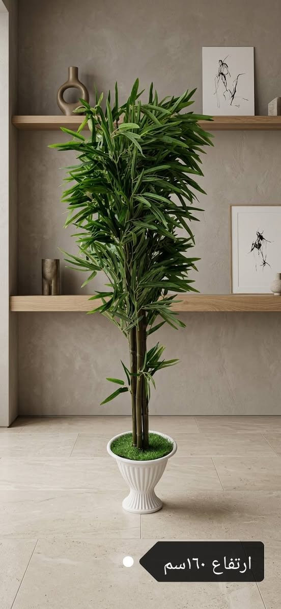 🌲 طبيعة تدوم.. وديكور يسرّ العين!
نقدم لك أحدث تشكيلة من الأشجار والنباتات الصناعية الفاخرة:
​مظهر طبيعي 100%: تفاصيل دقيقة وألوان حيوية تبدو كأنها حقيقية تماماً.
​جودة عالية ومقاومة: خامات ممتازة لا تبهت مع الوقت ولا تتأثر بالعوامل الجوية.
​تنوع كبير: أشجار بنس، زيتون، بونساي، نخل، ونباتات داخلية وخارجية بأحجام مختلفة تناسب كل المساحات.
توصيل سريع حتى باب بيتك!
​📲 للطلب أو الاستفسار:
أرسل لنا رسالة على الصفحة الآن، أو تواصل معنا عبر الواتساب: [***********]
​📍 الموقع: كربلاء.. طويريج... حي ام الهوى قرب مركز شرطة الاحياء مجمع تاج هوم للمواد المنزلية 
​#أشجار_صناعية #ديكور_منزلي #نباتات_صناعية #تصميم_داخلي #لمسة_خضراء #ديكورات_مودرن
