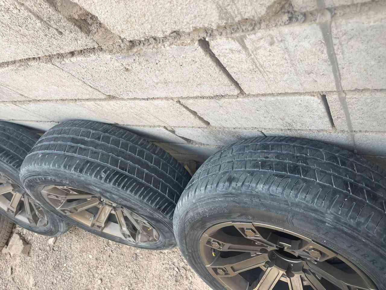 ويل كب ٢٠ • تاير دلوب • نص عمر