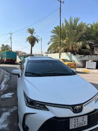 كورله • ٢٠٢٤ • رقم بغداد