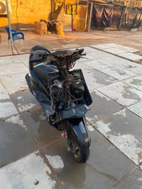 سكنس فحل • نوزل • ٥٨ونص