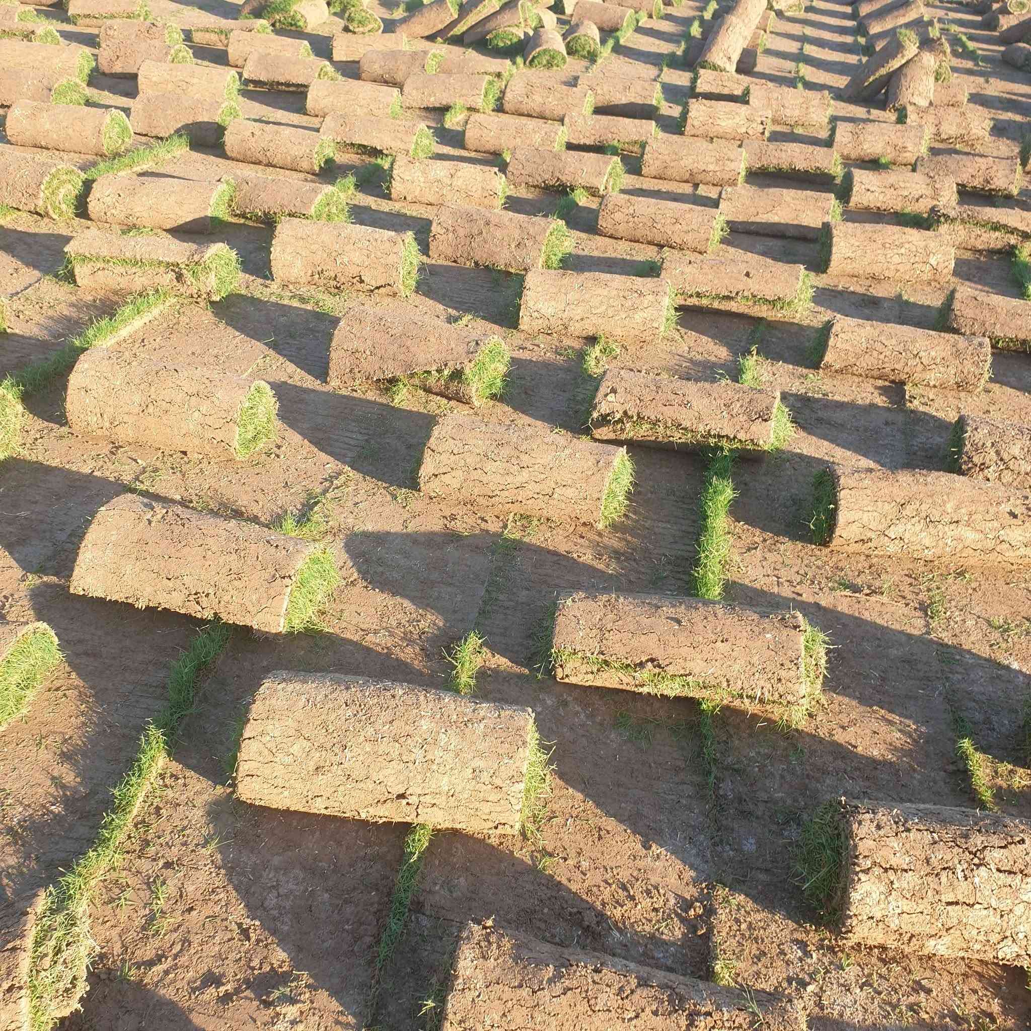 مرحبآ بكم في مجموعه مزارع ديالى لثيل الهندي الطبيعي 🌿🌱
 نقدم لكم افضل انوع الثيل الطبيعي عالي الجوده يتحمل كافه الظروف البيئية.🌦️🌞
دائم الخضرة🌿🌳 وباسعار تنافسيه وعروض مميزة ☘️❤️
#مستعدون لتجهيز وفرش الحدائق🏡 ودوائر الدولة🏡والمنازل🏡🏡
و تجهيز الملاعب🏟️ والمنتزهات بانسب الاسعار مع #ضمان الجودة العالية في العمل👷👷

مع خدمة التوصيل خلال24ساعه🚛🚛
 
 التواصل مع الصفحة عن طريق ارسال رسالة  او الاتصال

***********اتصال
***********واتساب #بغداد #بصرة #عمارة #ناصرية #سماوة #نجف #ديالى #ديوانية #بابل #كركوك #صلاح الدين #موصل #سليمانية #اربيل #دهوك #الانبار

