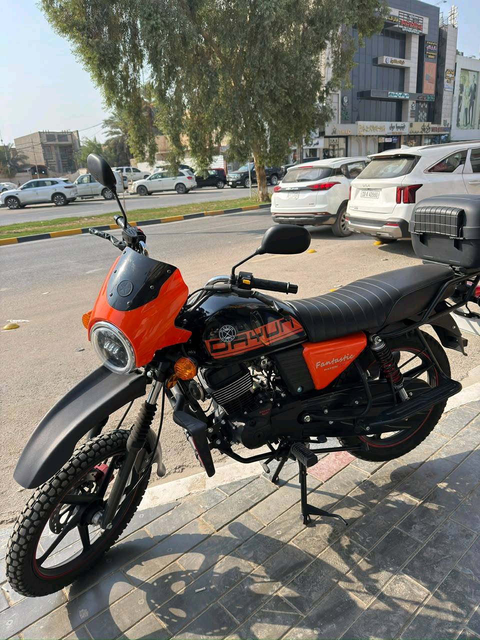 دايون جبلي • ماشية اقل ١٠٠٠ • فحص ساقط