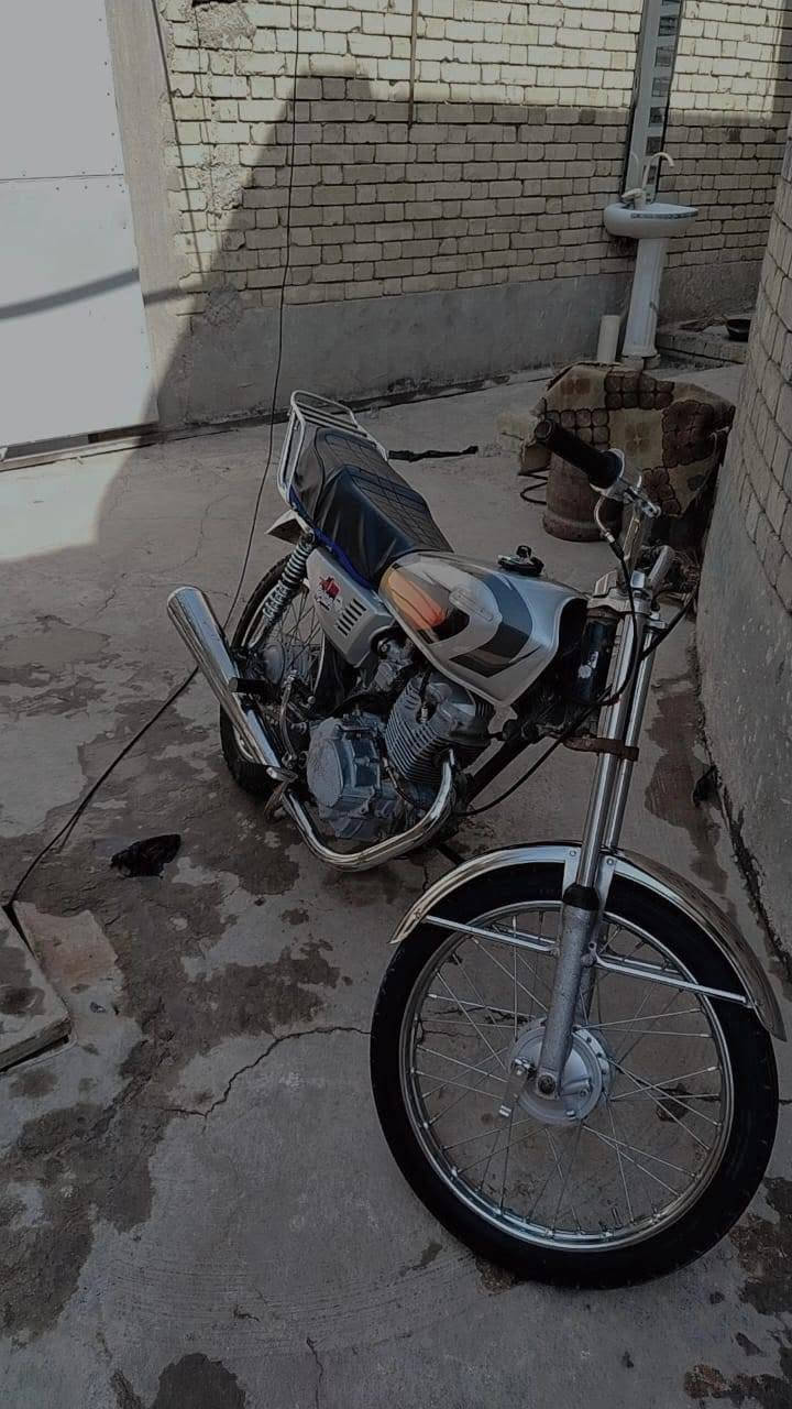 كلك • زنبور • جديد