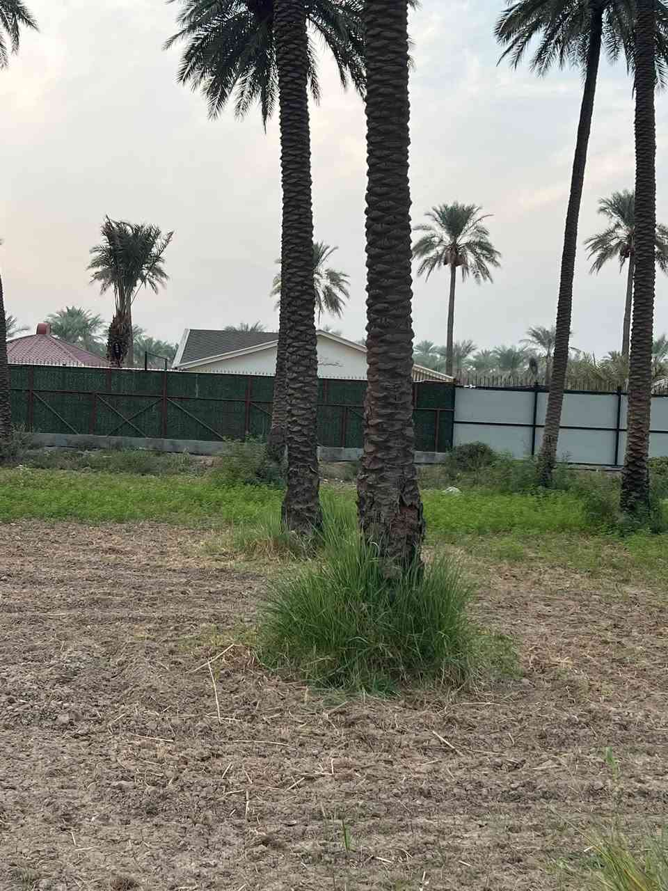 نص دونم • طابو سند ٢٥ • ١٥٠م من دجلة