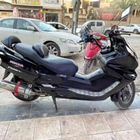 فورزا • ٠٦ • مكفول