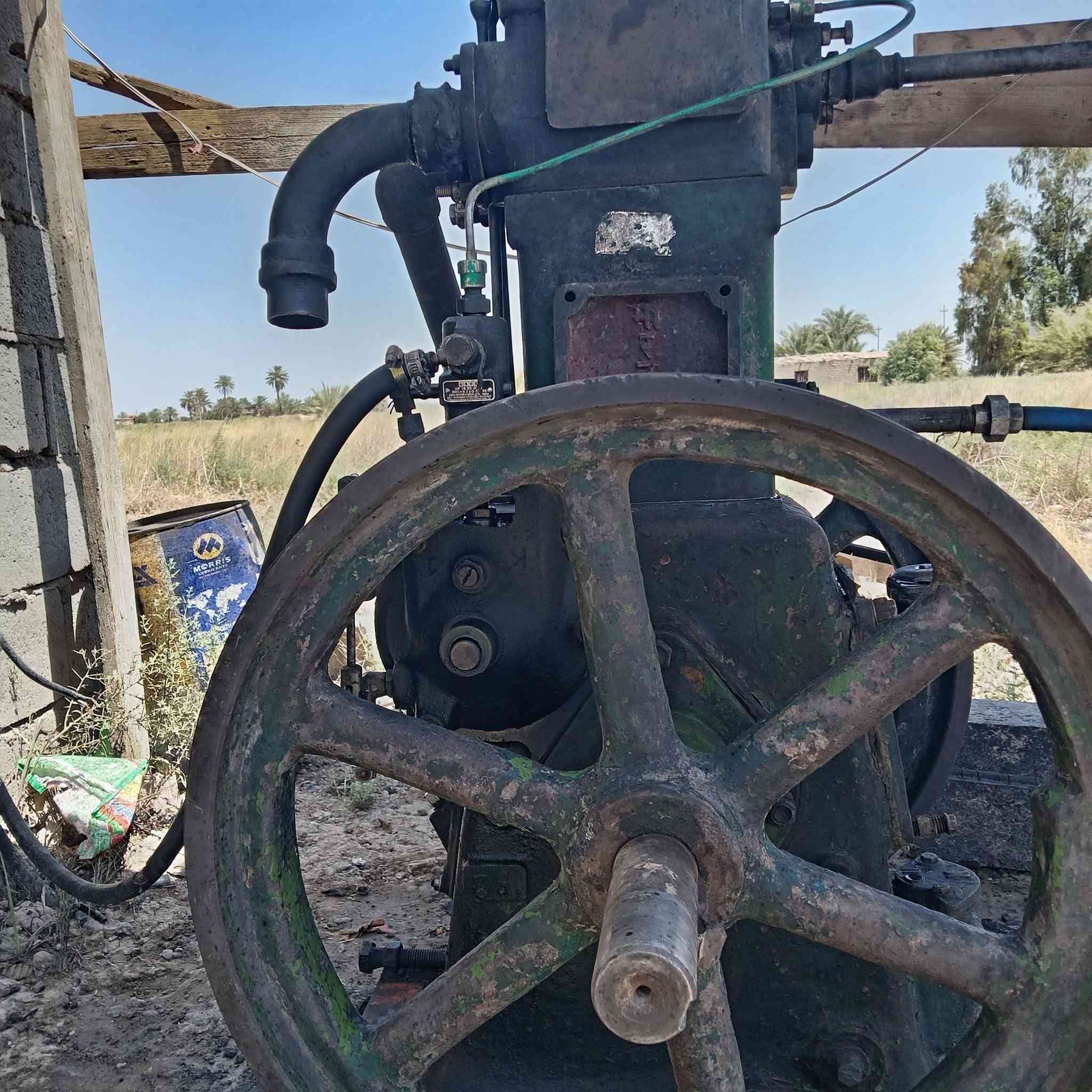 لستر
 8 إحصان فلد مارشال  للبيع***********  مكني بغداد
