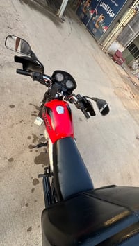 بوكسر • ٢٠٢٣ • اوراق