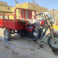 ستوته • موديل ٢٠ • سنوية كاملة