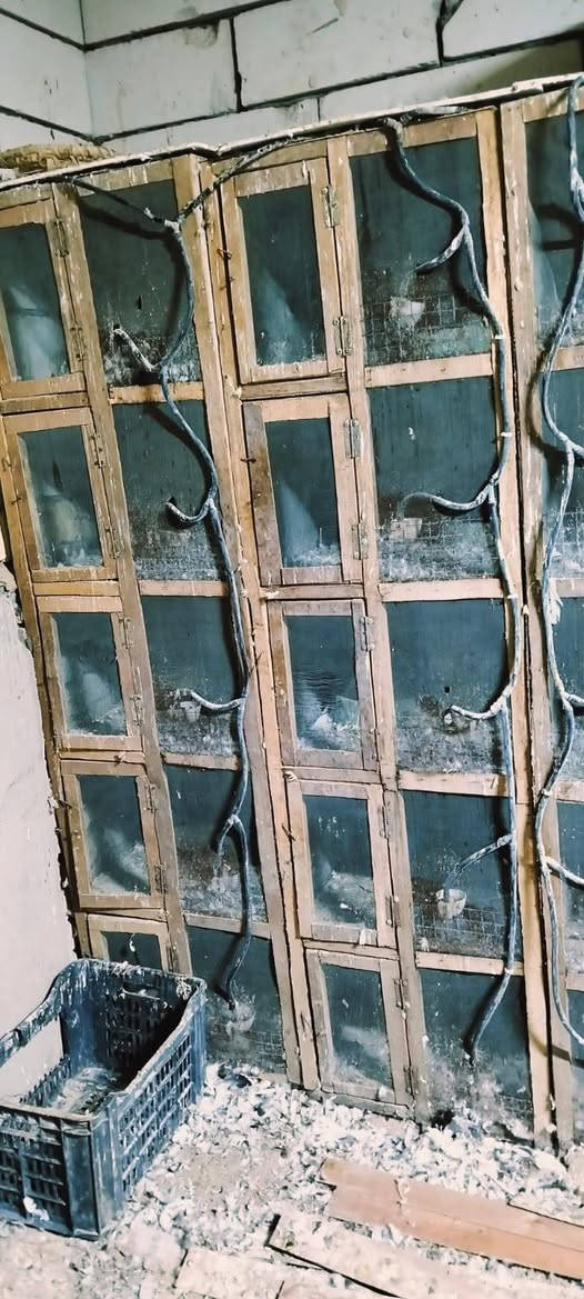 سلام عليكم ***********خانات امل 5 طولانيات العدد 9 خانات نضيفه هيه محاضن وطوافات كاملات مكاني الناصرية مركز بريدو هاذه رقمي وخابرني وتدلل مامتواجد عله الفيس بوك اذا ماعندك رصيد خابرني واتساب فقط الوجه 50 والرتفاع 45 والنزال 55 القياسات
