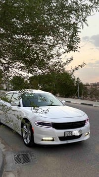 جارجر SXT • ٢٠١٦ • عداد ٢٦٠