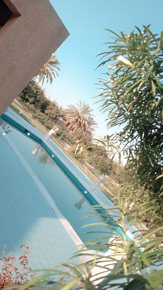 مزرعه الإيجار مكان بغداد الدوره البعيثه الاعراس ومناسبات واعوال رقم الحجز وستفسار. *********** ***********
