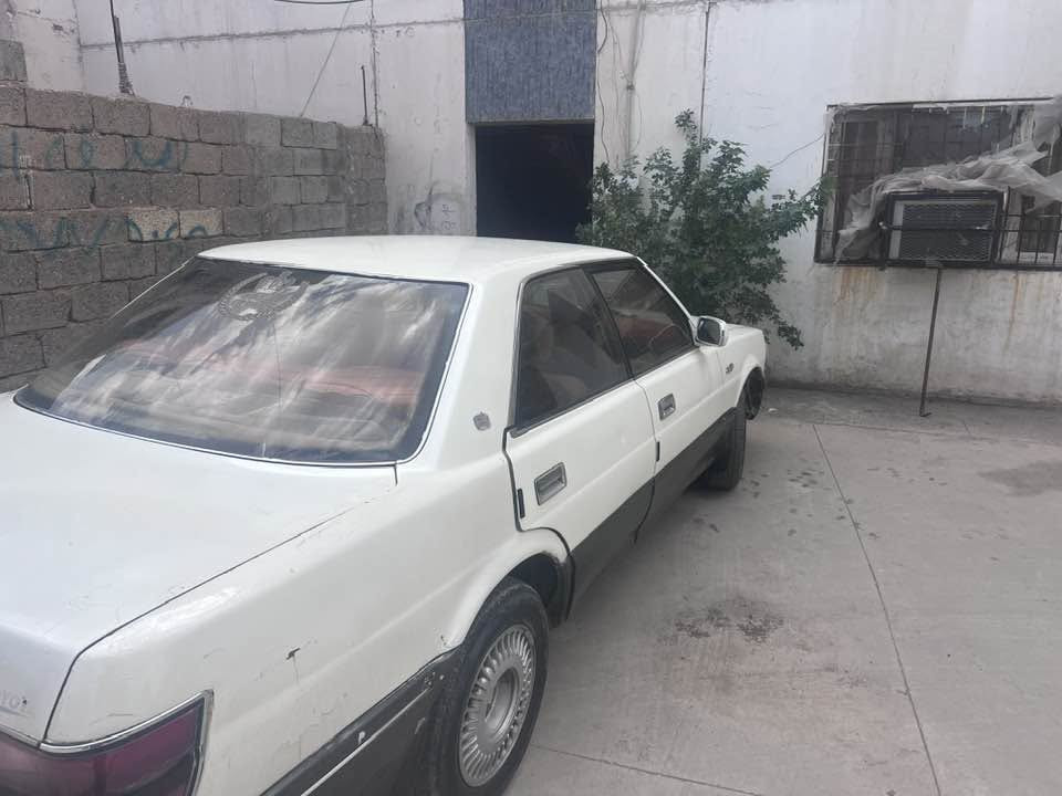 هارتوب • ١٩٩١ • رقم ديالى