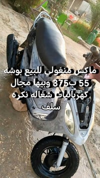 ماكس منغولي • للبيع
