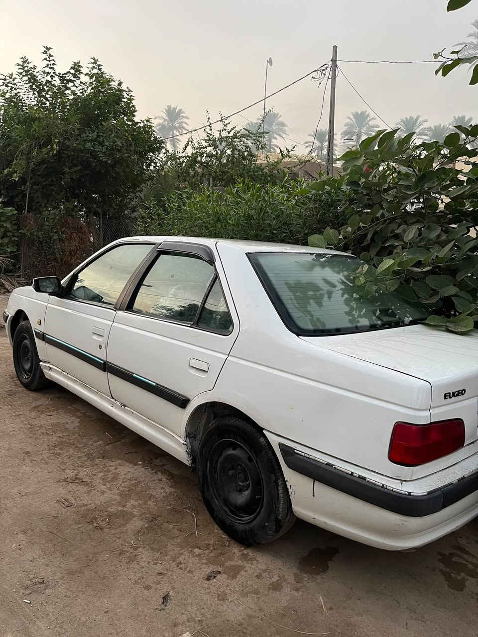 بيجو بارص • ٢٠١٢ • رقم بابل