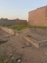 القمانيات • ١٦٠م • سايدين تجاري