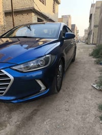 نص فول • ٢٠١٧ • رقم اربيل