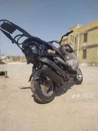 ماكس منغولي • بوشه ٥٥ • كفاله